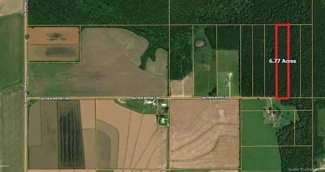 Land for Sale in Iota, Louisiana