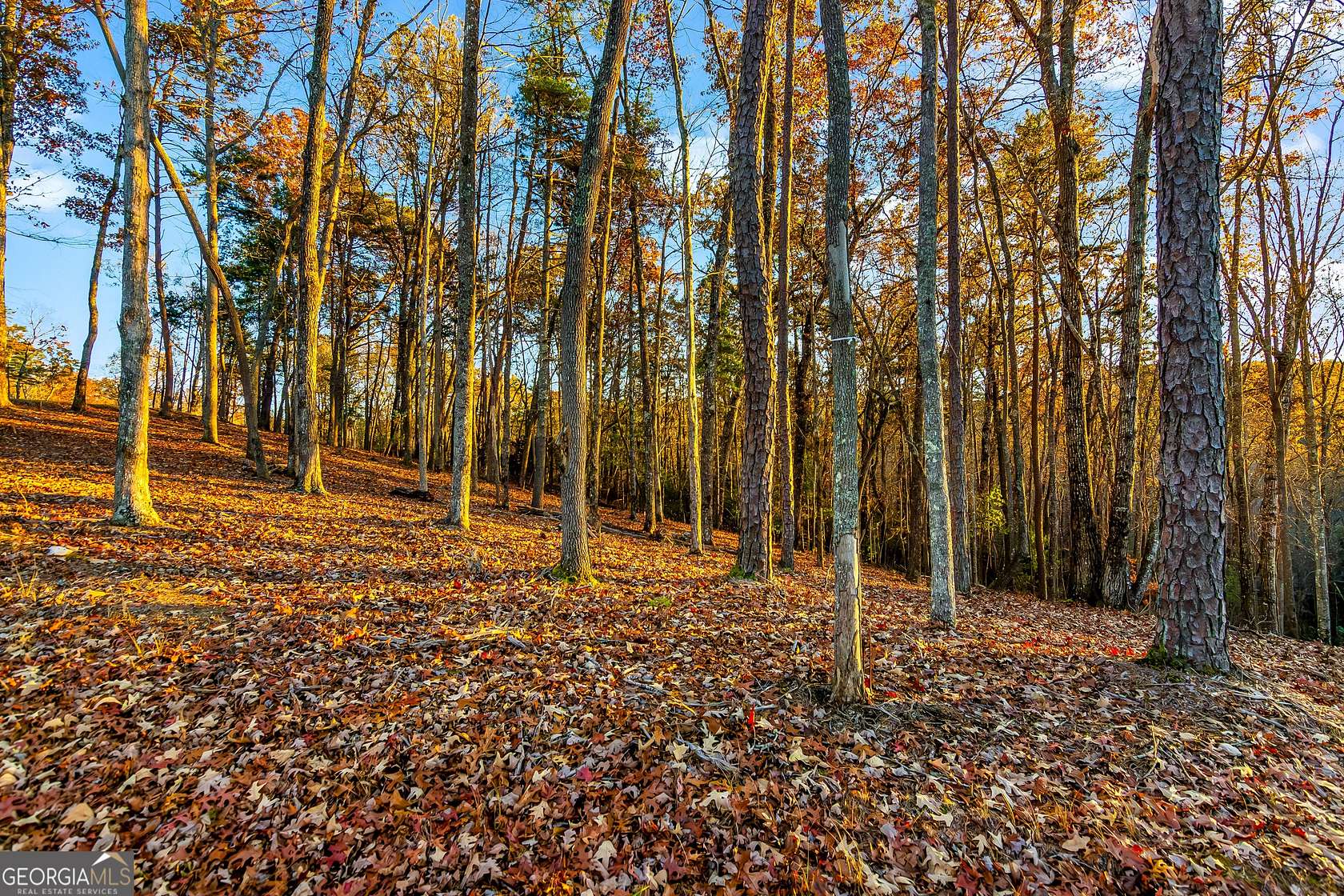 1.71 Acres of Residential Land for Sale in Blue Ridge, Georgia