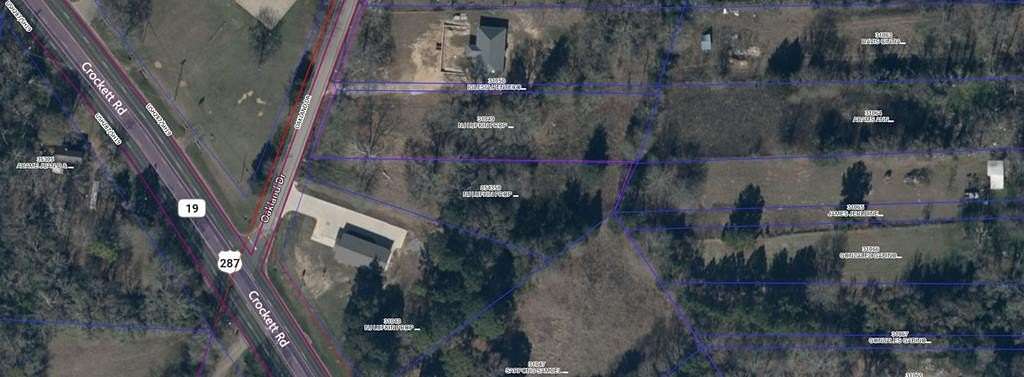 0.793 Acres of Residential Land for Sale in Palestine, Texas