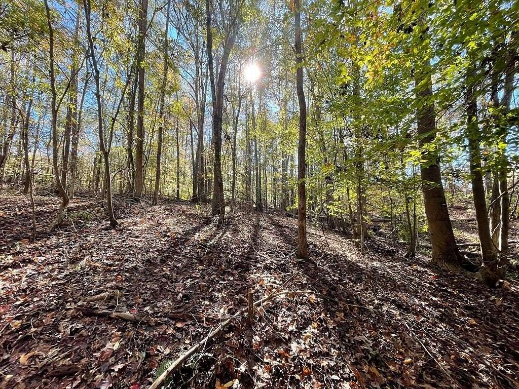 0.76 Acres of Residential Land for Sale in Ware Shoals, South Carolina