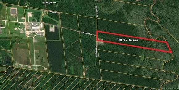 Land for Sale in Evangeline, Louisiana