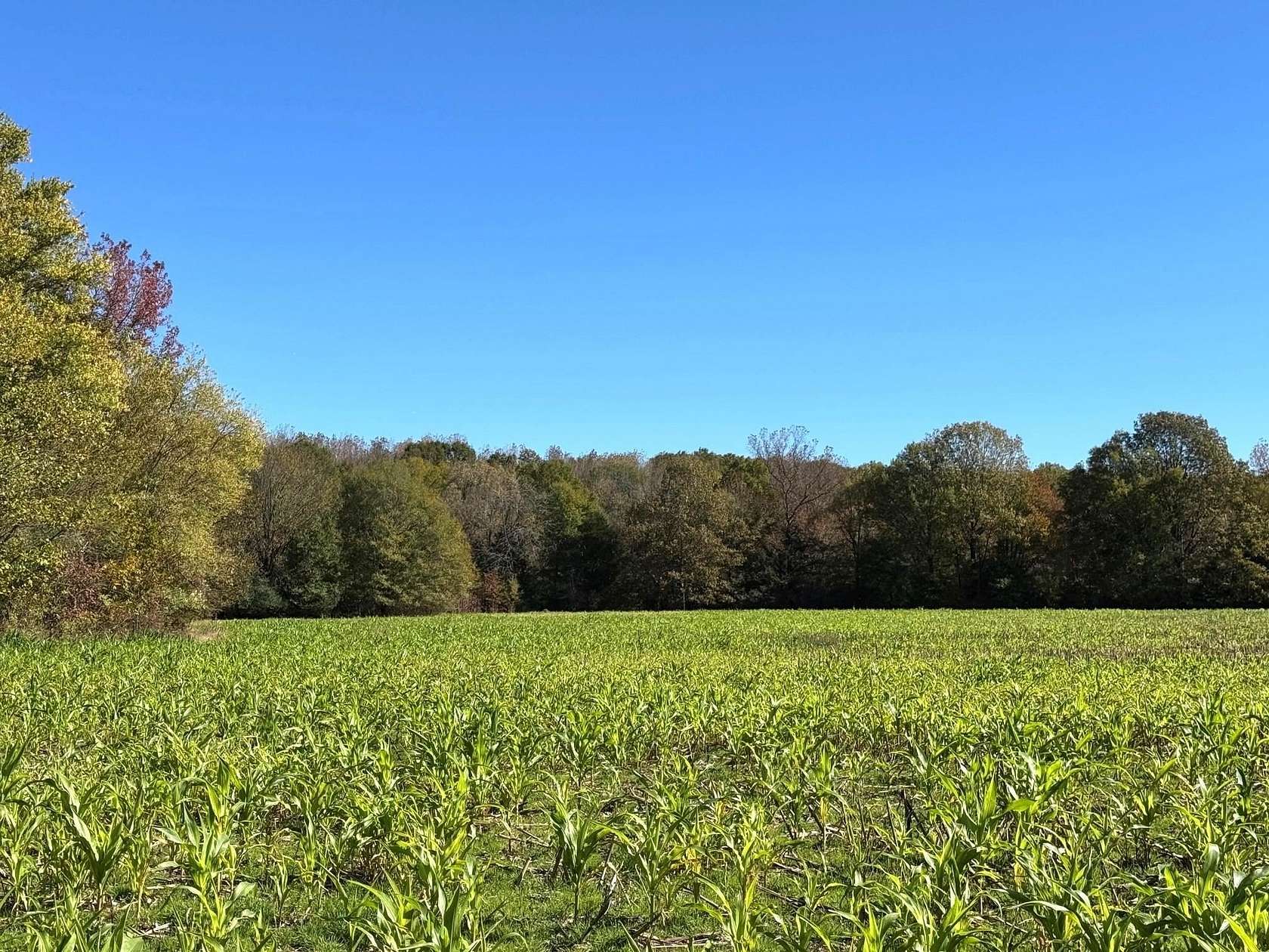 61.22 Acres of Land for Sale in Eads, Tennessee