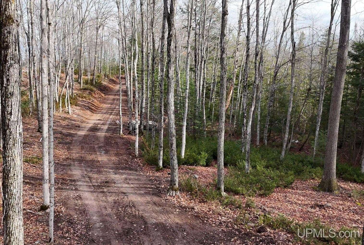 29 Acres of Recreational Land for Sale in Atlantic Mine, Michigan