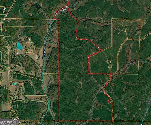 303 Acres of Recreational Land for Sale in Franklin, Georgia