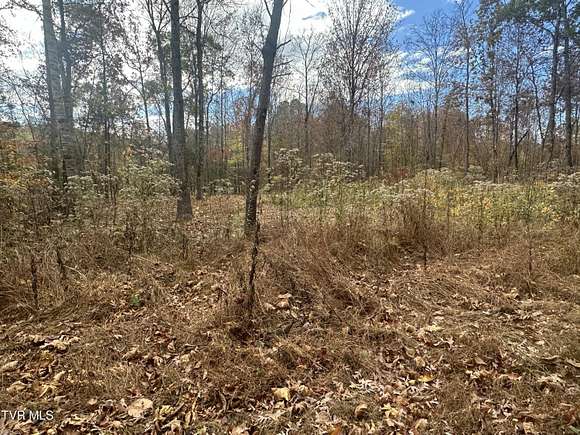 0.98 Acres of Residential Land for Sale in Bulls Gap, Tennessee