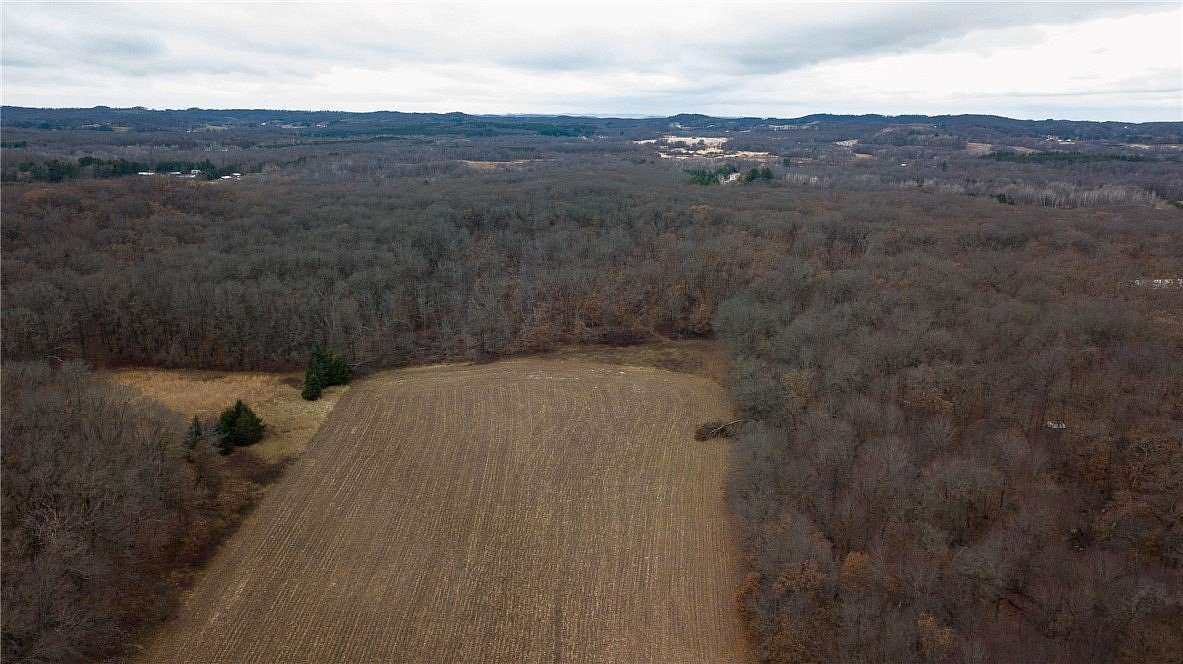 17.16 Acres of Land for Sale in Eleva, Wisconsin