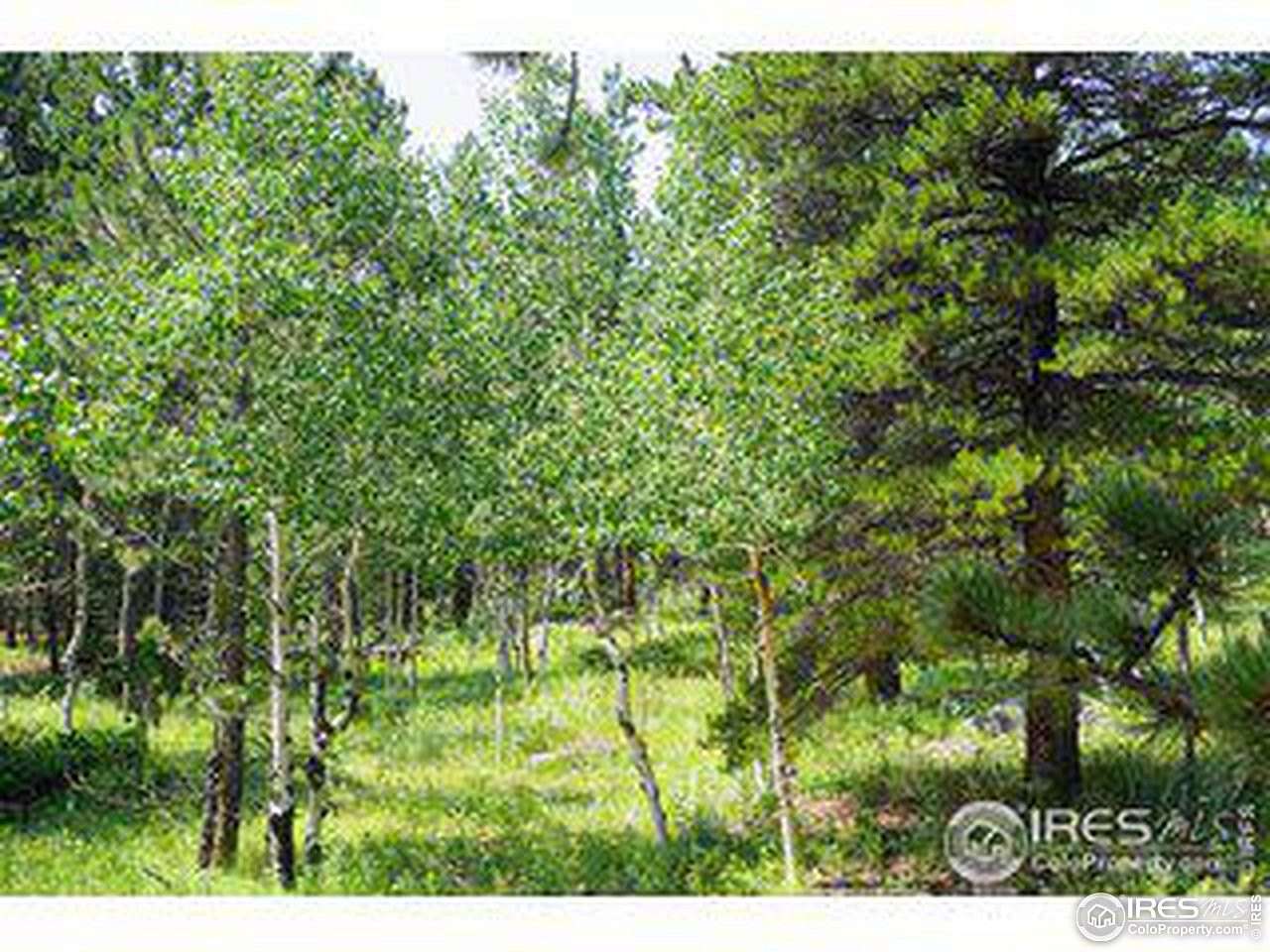 3.06 Acres of Residential Land for Sale in Allenspark, Colorado