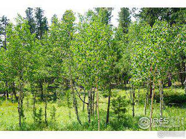 3 Acres of Residential Land for Sale in Allenspark, Colorado