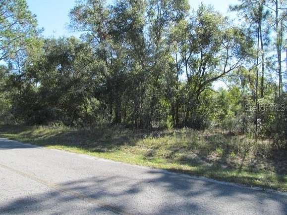 0.4 Acres of Residential Land for Sale in Ocklawaha, Florida