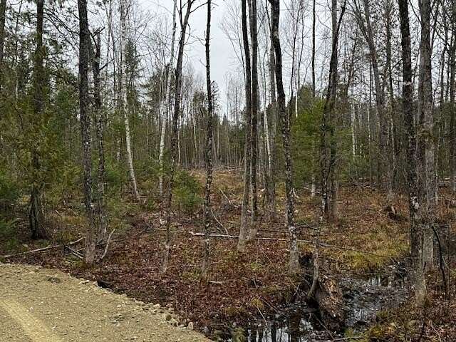 6.08 Acres of Residential Land for Sale in Palmyra, Maine