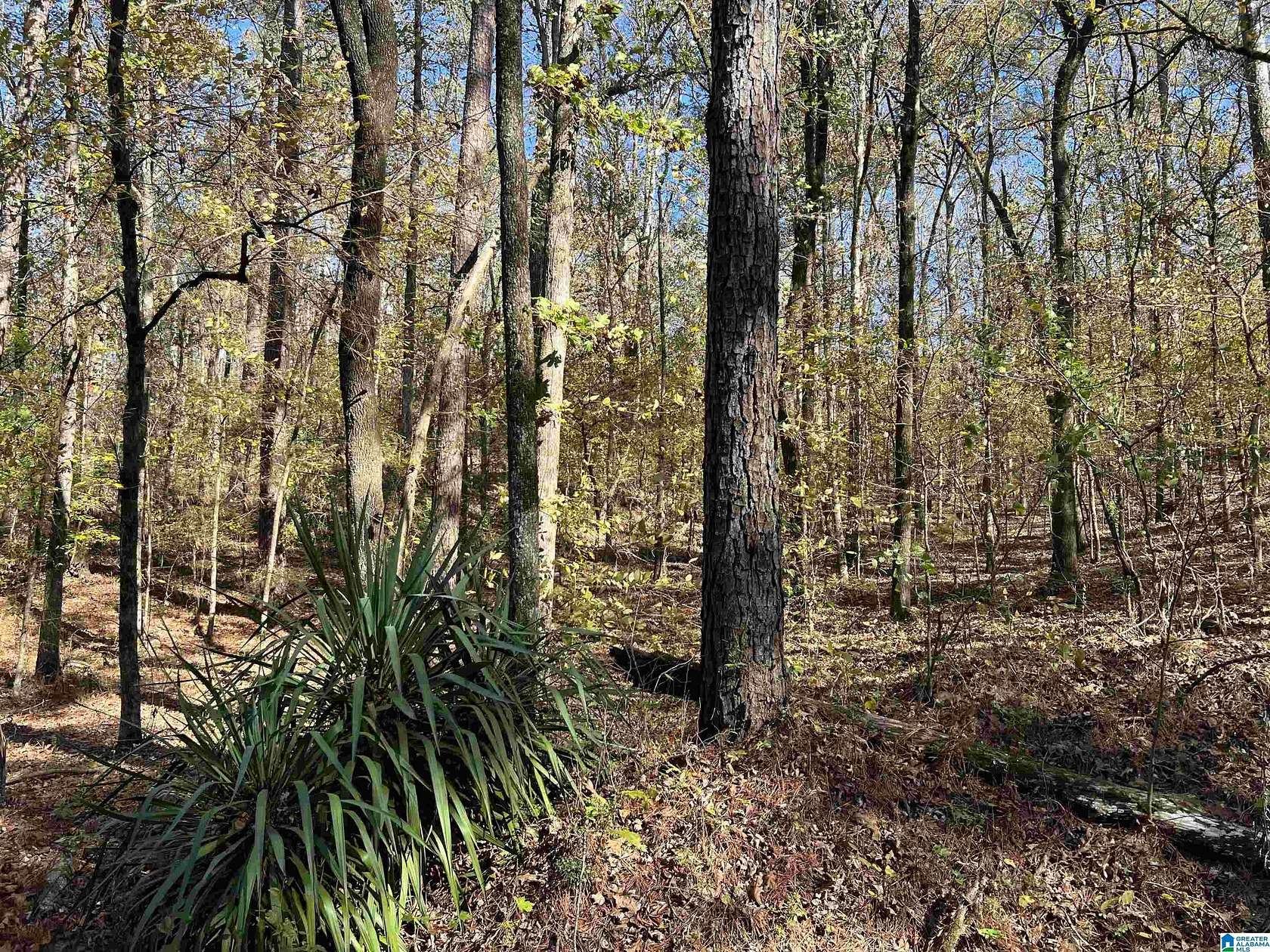 6 Acres of Residential Land for Sale in Hayden, Alabama