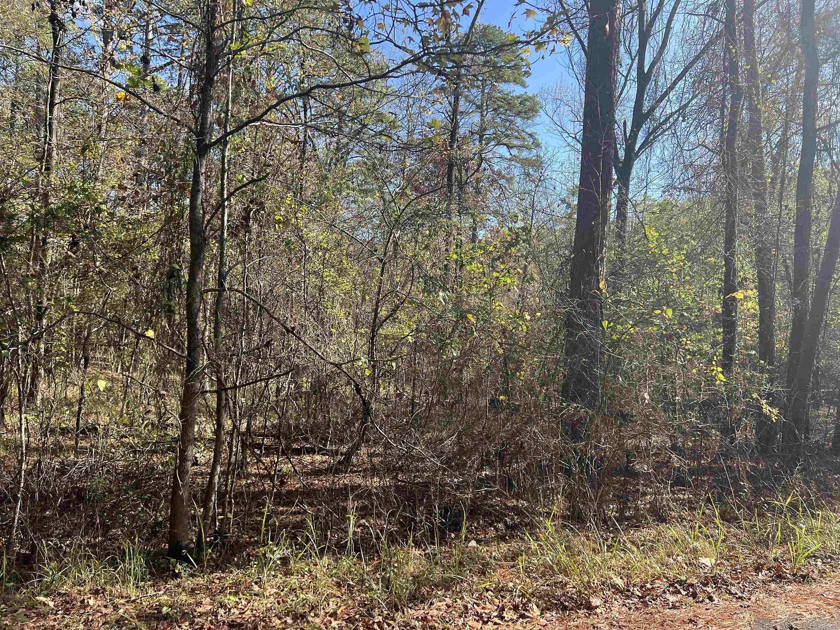 0.24 Acres of Land for Sale in Hot Springs Village, Arkansas