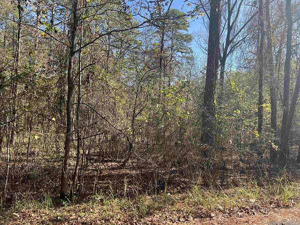 0.24 Acres of Land for Sale in Hot Springs Village, Arkansas