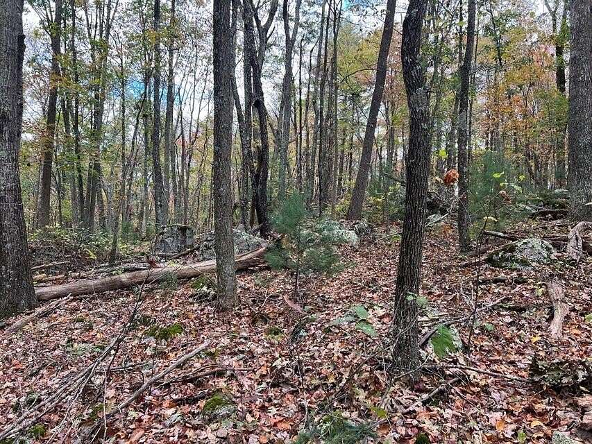 Land for Sale in Gap Mills, West Virginia