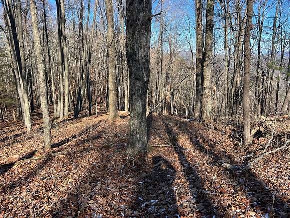 5 Acres of Land for Sale in Gap Mills, West Virginia