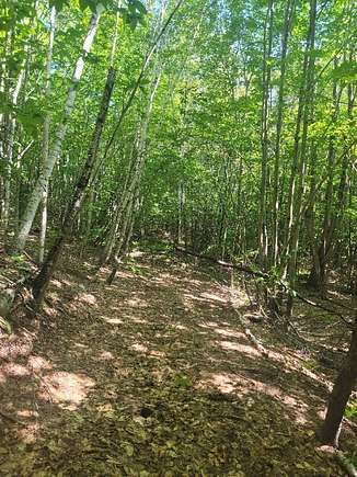 14 Acres of Land for Sale in Hartford, Maine