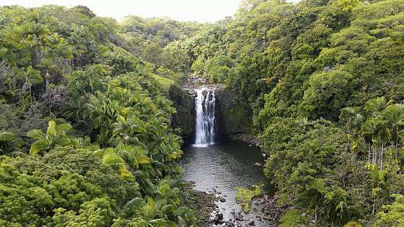 25.3 Acres of Land for Sale in Papaikou, Hawaii