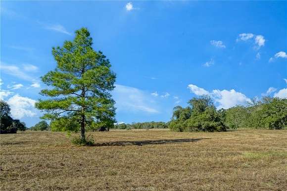 10.853 Acres of Land for Sale in Bedias, Texas