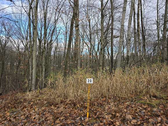 0.55 Acres of Residential Land for Sale in Canadian Lakes, Michigan