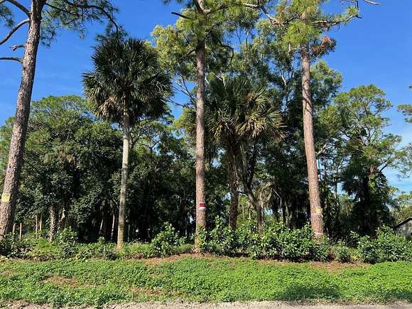 1.25 Acres of Residential Land for Sale in The Acreage, Florida