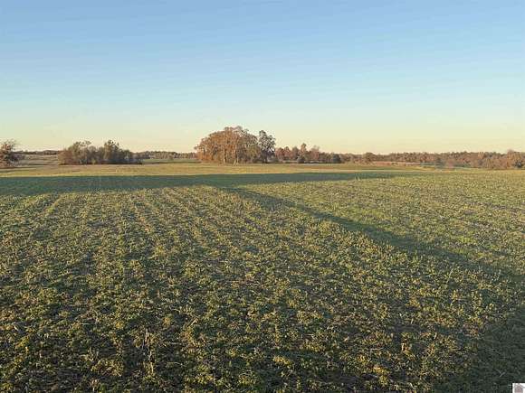 44.47 Acres of Agricultural Land for Sale in Mayfield, Kentucky