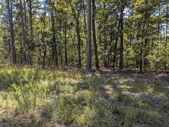 13 Acres of Recreational Land for Sale in Perryville, Arkansas