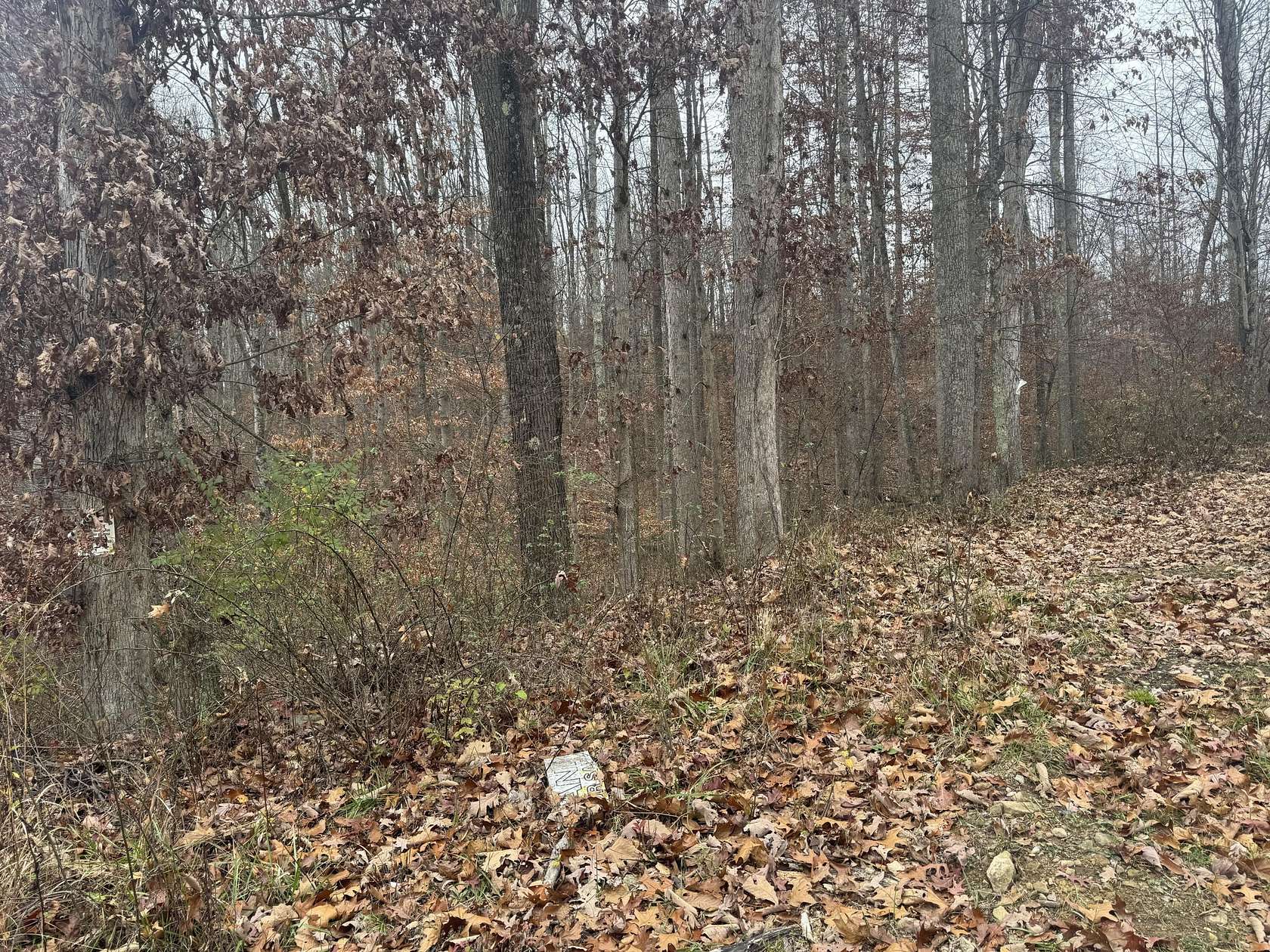 0.52 Acres of Land for Sale in Montrose, West Virginia