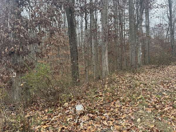 0.52 Acres of Land for Sale in Montrose, West Virginia