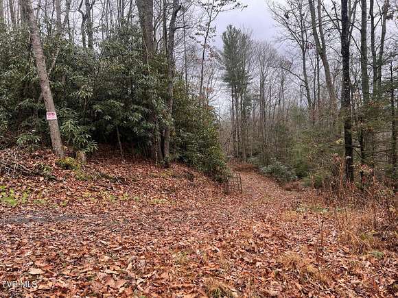 15 Acres of Land for Sale in Roan Mountain, Tennessee