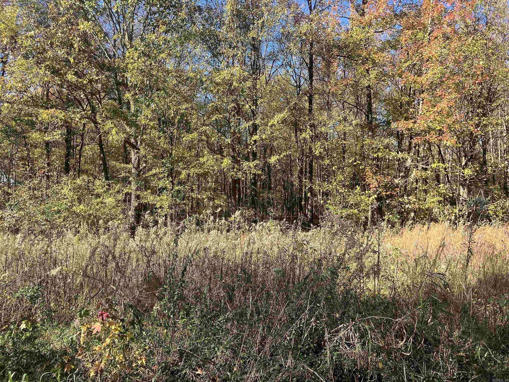 15 Acres of Land for Sale in Piggott, Arkansas