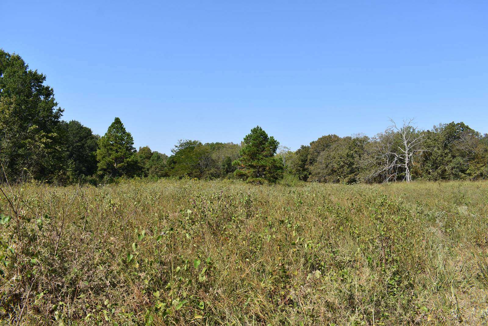 30 Acres of Recreational Land for Sale in Talihina, Oklahoma