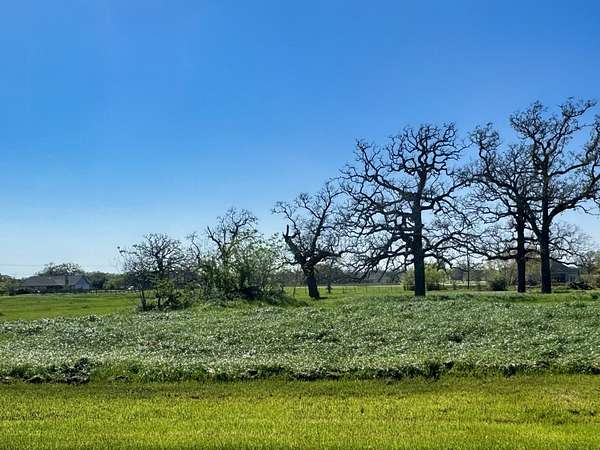 1 Acre of Residential Land for Sale in Iola, Texas