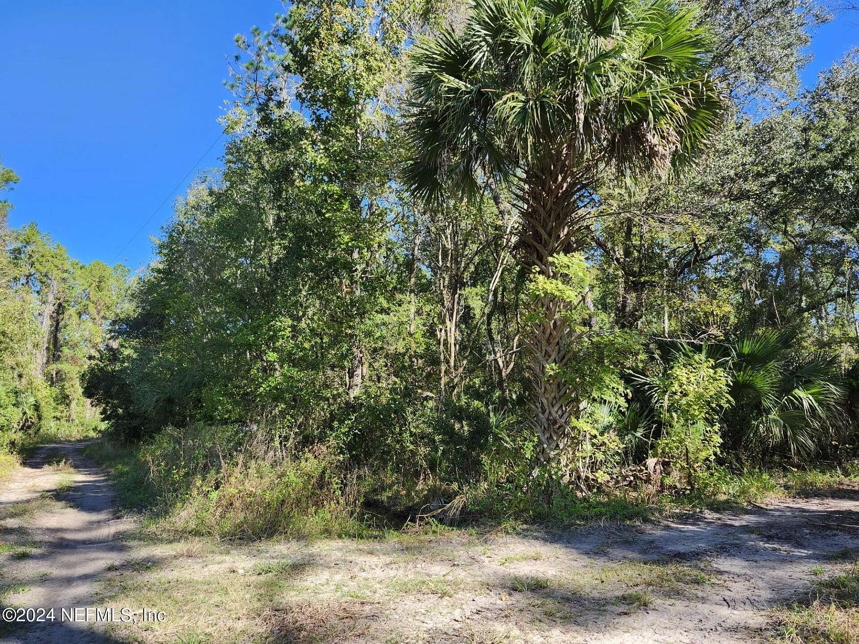 1.1 Acres of Residential Land for Sale in Satsuma, Florida