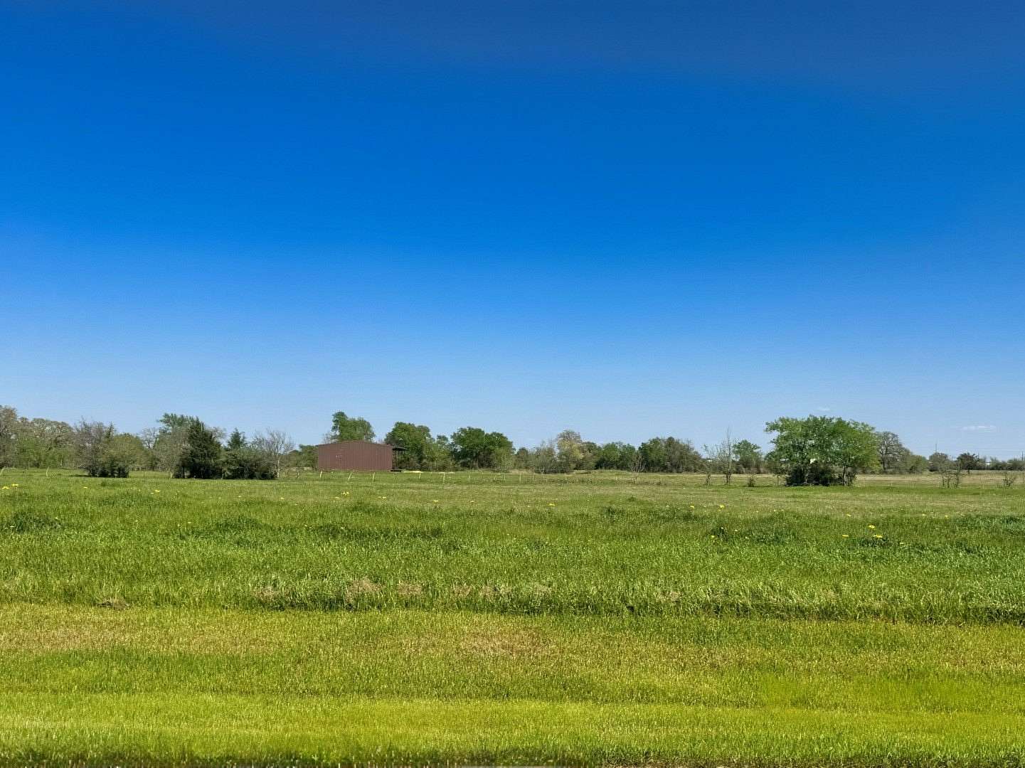1 Acre of Residential Land for Sale in Iola, Texas