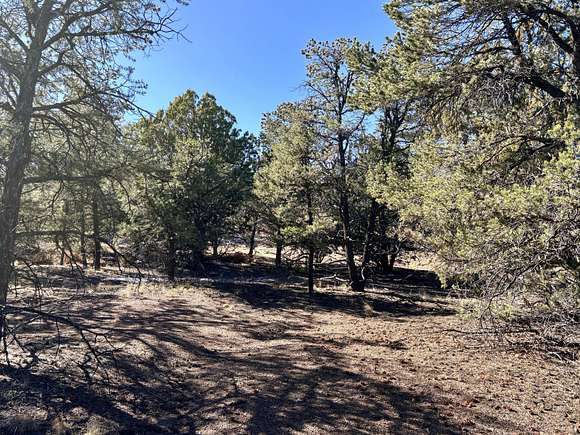 1.72 Acres of Residential Land for Sale in Datil, New Mexico