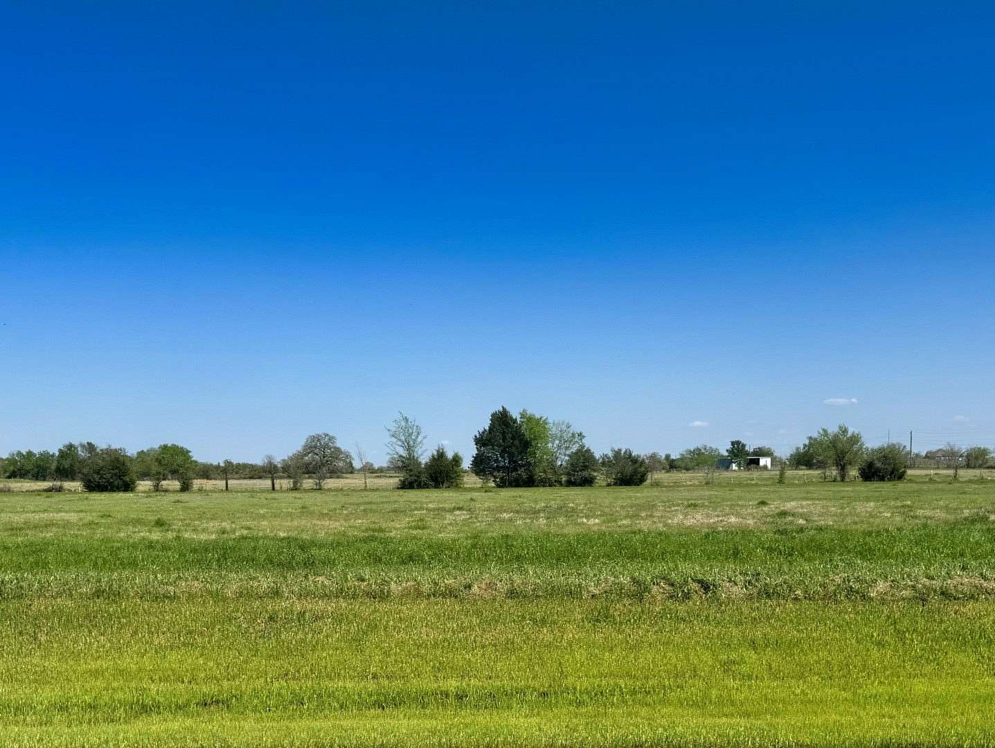 1 Acre of Residential Land for Sale in Iola, Texas
