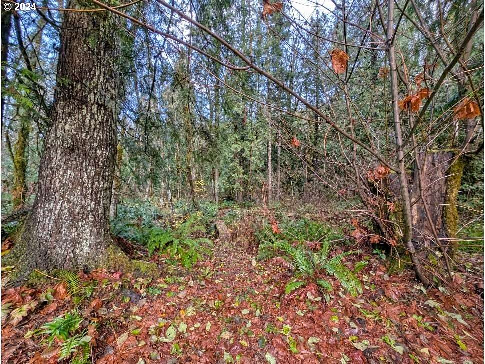 2.01 Acres of Residential Land for Sale in Rhododendron, Oregon