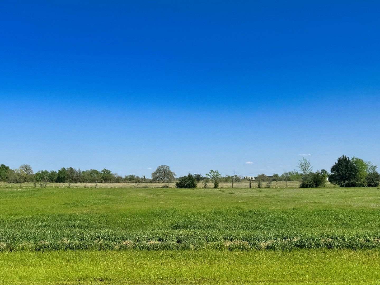 1 Acre of Residential Land for Sale in Iola, Texas