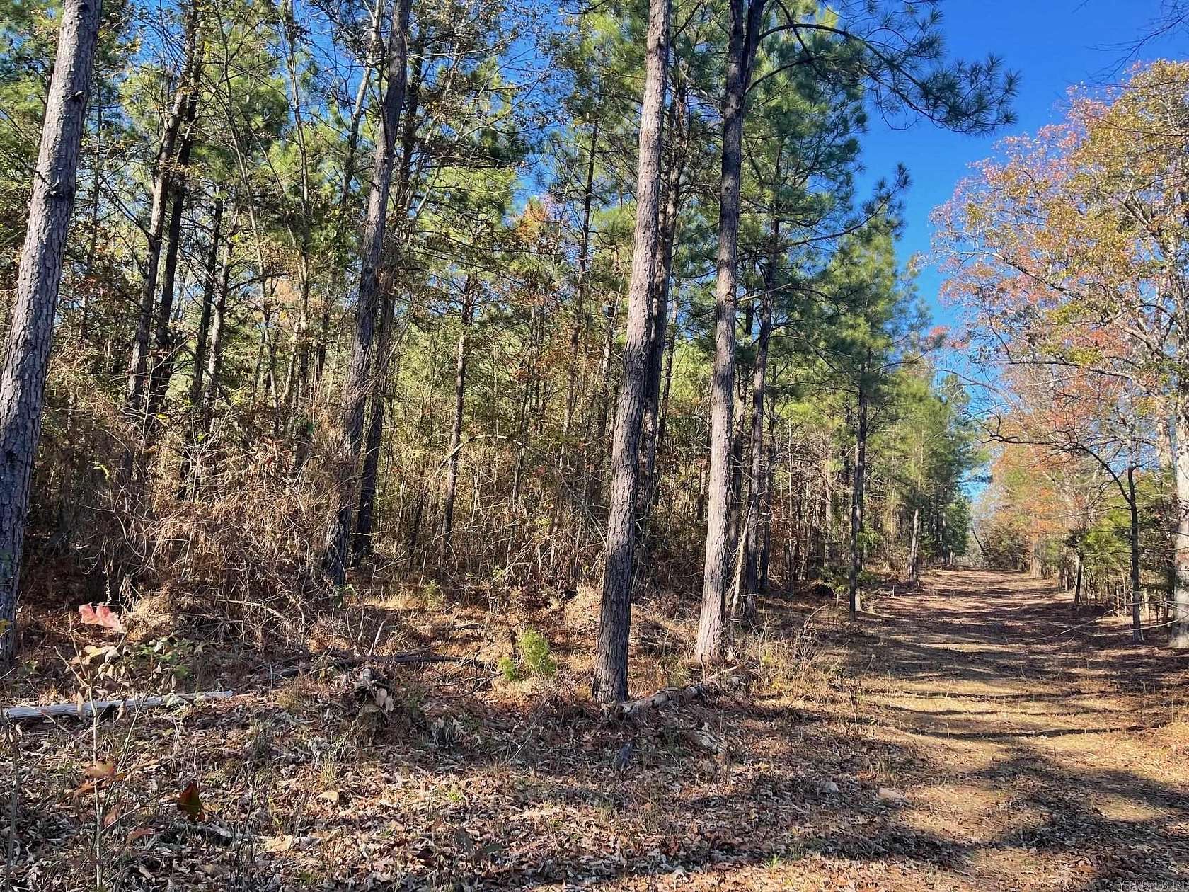 28 Acres of Recreational Land for Sale in Cove, Arkansas