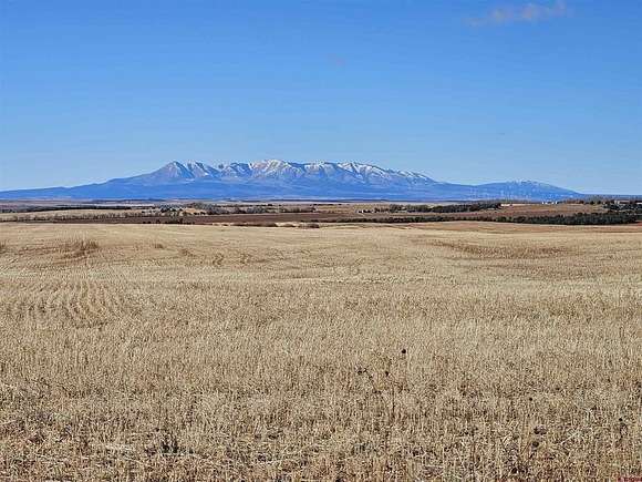 320 Acres of Agricultural Land for Sale in Dove Creek, Colorado