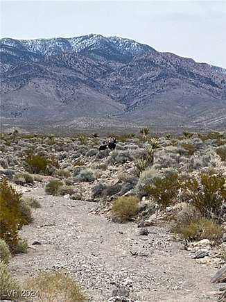 20 Acres of Recreational Land for Sale in Pahrump, Nevada