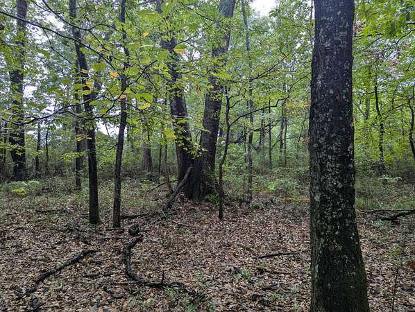 23 Acres of Land for Sale in Deatsville, Alabama