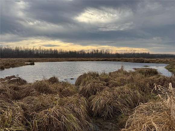 80 Acres of Land for Sale in Sandstone, Minnesota