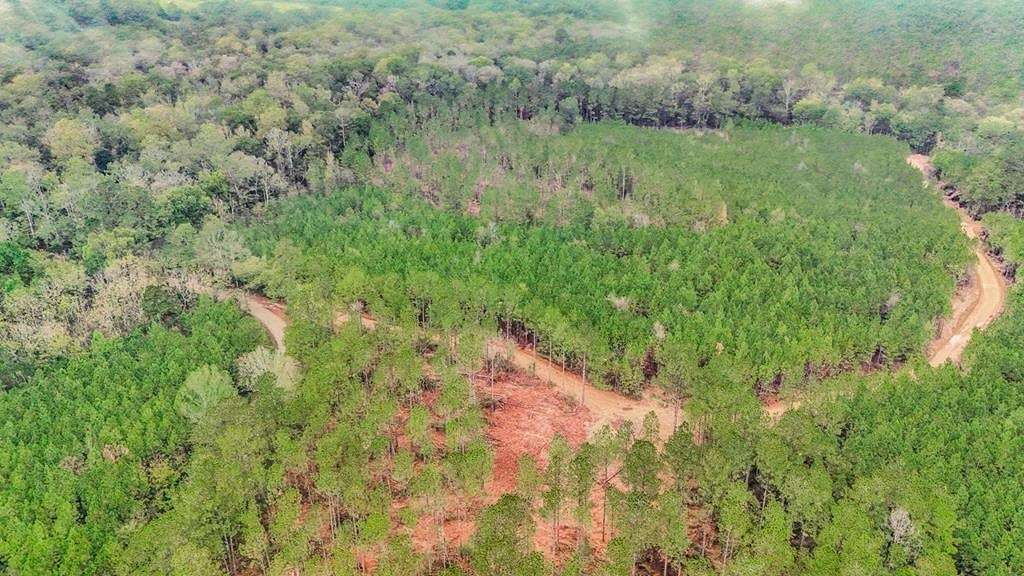 100 Acres of Land for Sale in Ruth, Mississippi