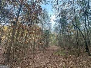 25 Acres of Land for Sale in Toccoa, Georgia