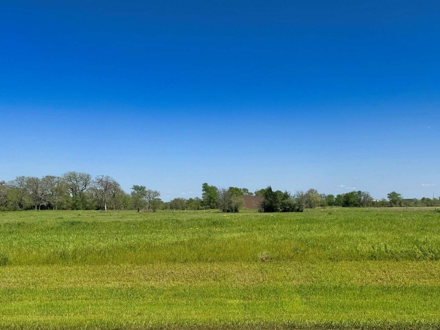 1 Acre of Residential Land for Sale in Iola, Texas