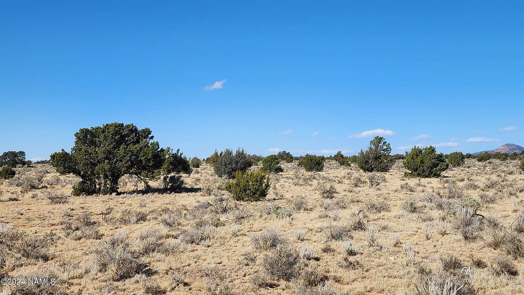 12 Acres of Land for Sale in Williams, Arizona