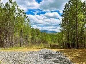 21.41 Acres of Land for Sale in Calhoun, Tennessee