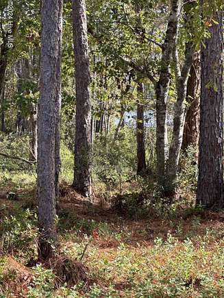 1.01 Acres of Residential Land for Sale in Hubert, North Carolina