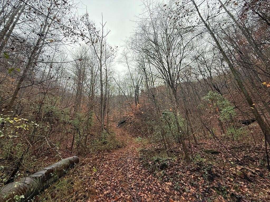 61 Acres of Recreational Land for Sale in Pikeville, Kentucky